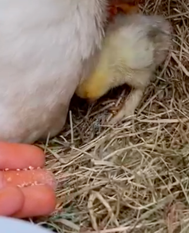 Screenshot 2022-05-15 at 15.02.04.png