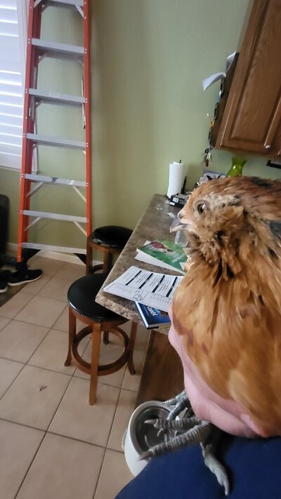 20220519_170024.jpg