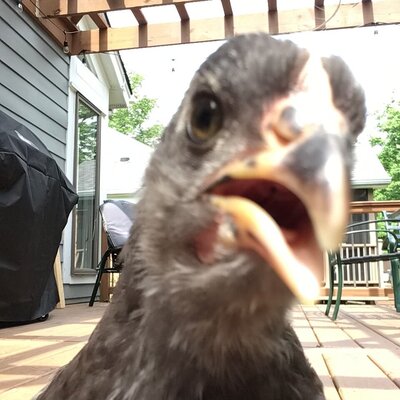 22B9D88E-D018-4318-99C3-D130A596C8C8.jpeg