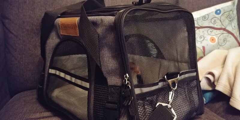 20211223_181107_HDR.jpg
