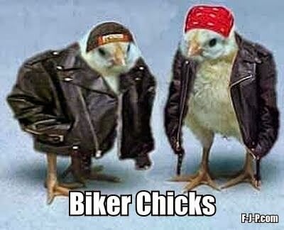 a17bdb1646e8f2caa02b3449300a9c56--biker-chick-jpg.jpg