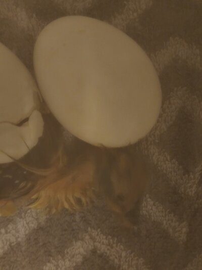 20220530_220220.jpg