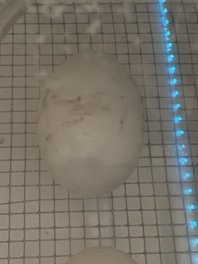 53C65AD5-67F4-4348-B5D1-BE58C3638123.jpeg
