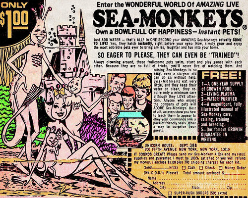 classic-comic-book-advertisement-sea-monkeys-20190925-wingsdomain-art-and-photography.jpg classic-comic-book-advertisement-sea-monkeys-20190925-wingsdomain-art-and-photography.jpg
