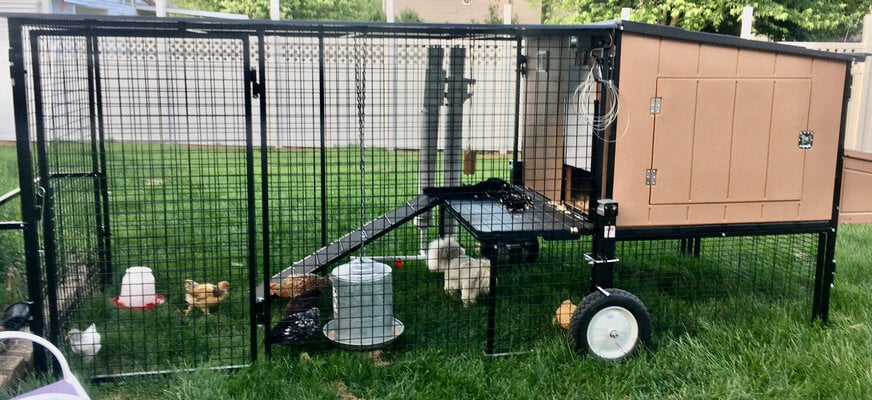 Chicken Condo Urban Chicken Tractor with 4 X 8 Run