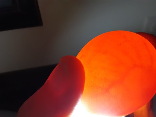 20220610_214130.jpg
