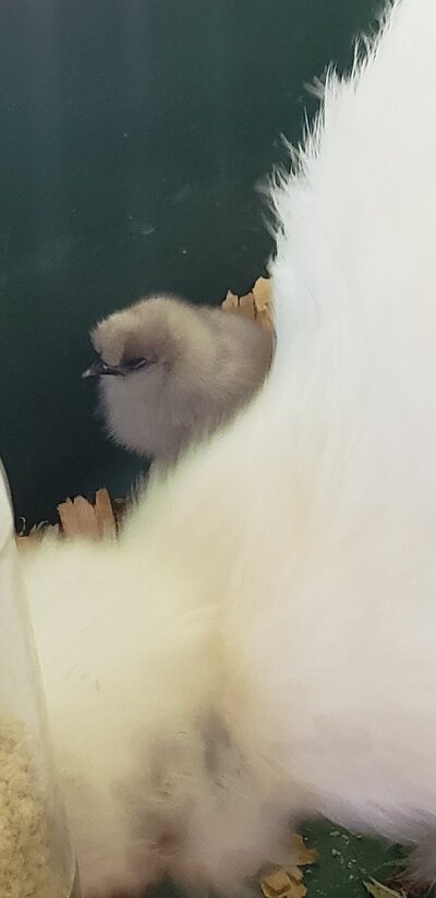 20220604_133528.jpg