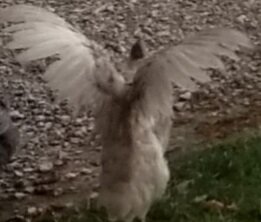 20201023_171026.jpg
