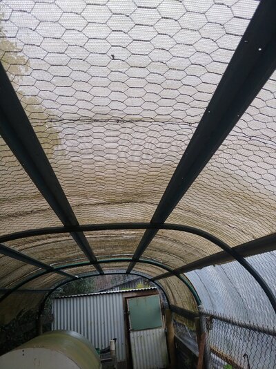 inside arched roof.jpg