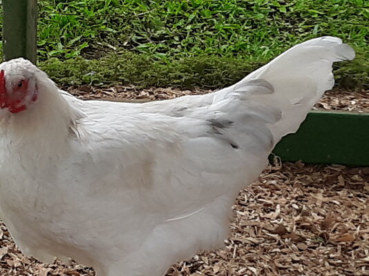 20220611_145415.jpg