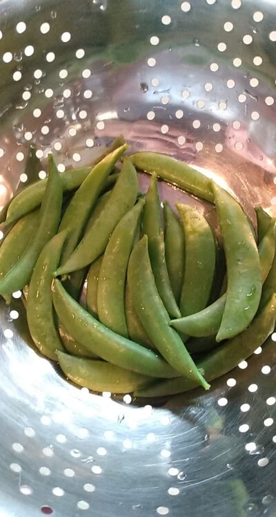 Sugar snaps.jpg
