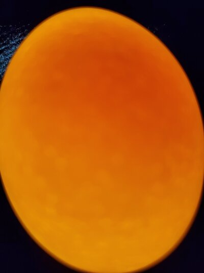 20220613_205440.jpg