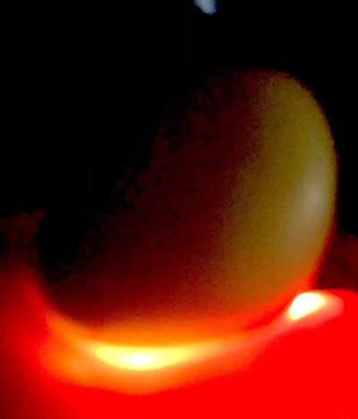 7F461971-EF30-4A17-8733-8A17CCF6D533.jpeg