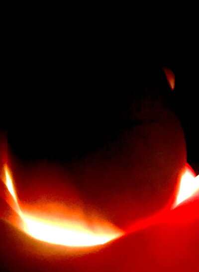 7E534610-7A89-43CD-B1C0-605D2122E409.jpeg