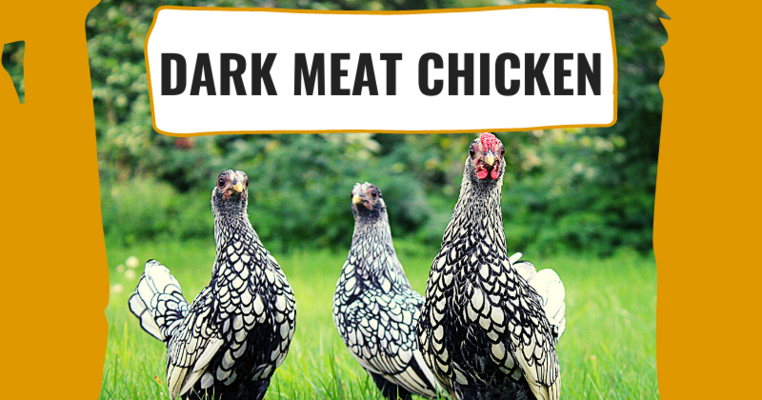 Dark Meat Chicken