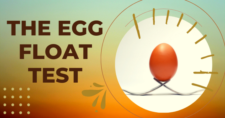 The Egg Float Test