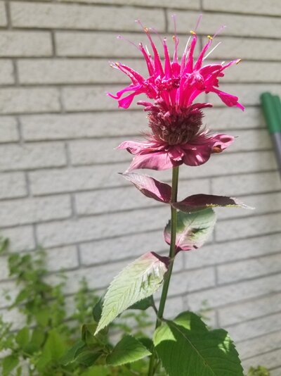 20220621_124618.jpg