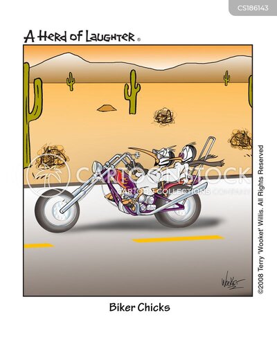 animals-biker-biker_chick-chick-chicken-bird-tlin84_low.jpg