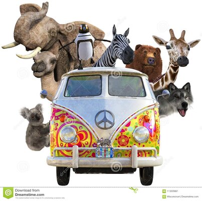 funny-wildlife-animals-riding-vb-hippie-van-bus-road-trip-elephant-camel-zebra-bear-koala-peng...jpg