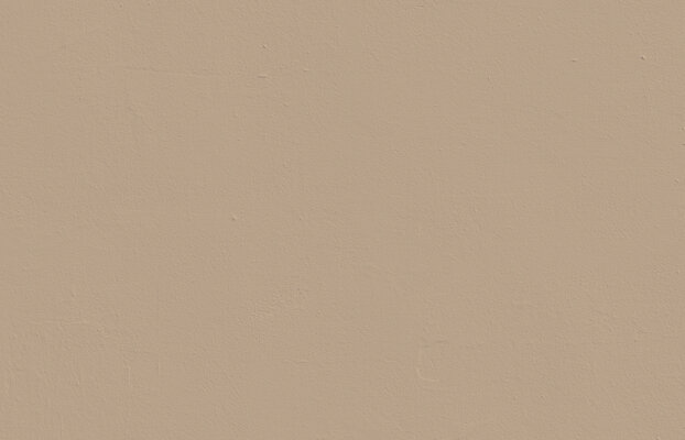 beige-02-painted-textured-wall.jpg