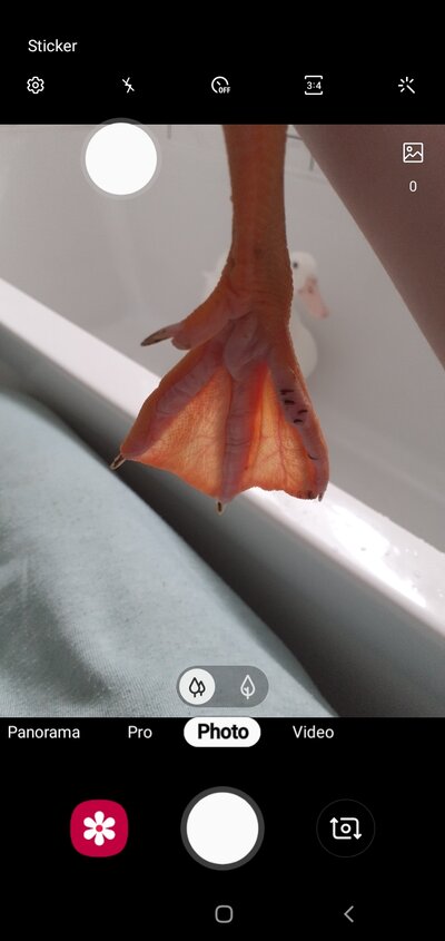 Screenshot_20220522-120503_Camera.jpg