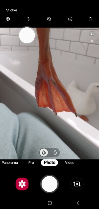 Screenshot_20220522-120507_Camera.jpg