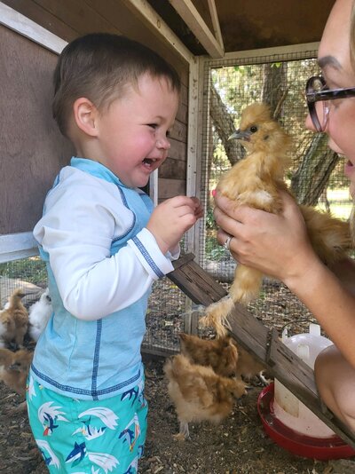 Duncan with the Carver's Silkie Bantams (6-25-2022).jpeg