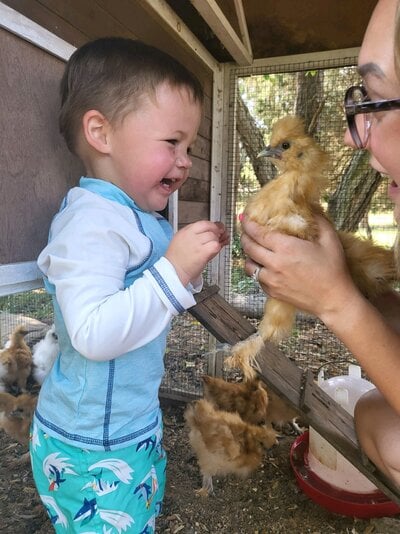 Duncan with the Carver's Silkie Bantams (6-25-2022).jpeg Duncan with the Carver's Silkie Bantams (6-25-2022).jpeg