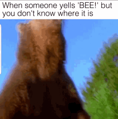 bears-when-someone-yells-bee-but-you-dont-know-where-it-is.gif