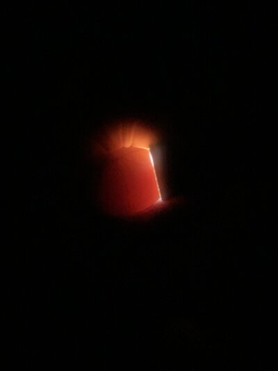 image3 (4).jpeg