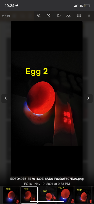 5B512E6A-D5DE-4B56-BD51-E8AC67197607.png