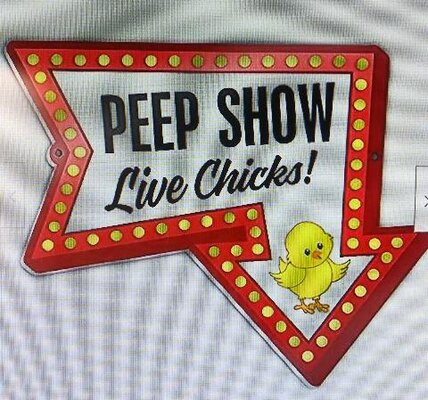 Peep Show Live Chicks sign.jpg