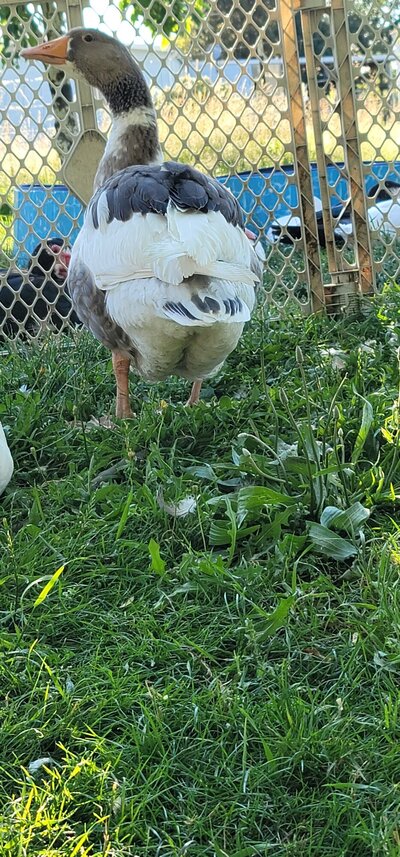 20220707_185140.jpg