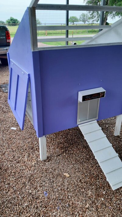023-CoopAutoDoor-Awing.jpg