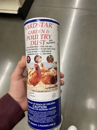 image.jpg