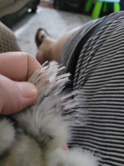 20220714_151533.jpg