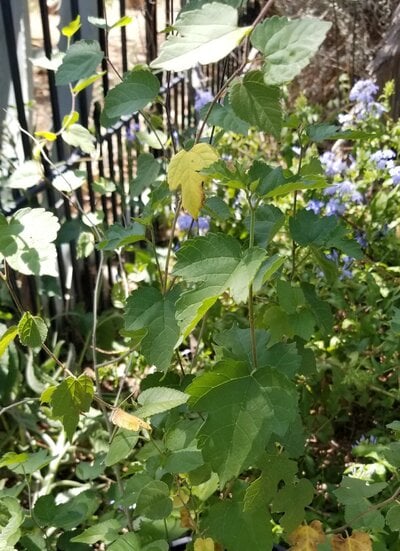 20220717_112328.jpg