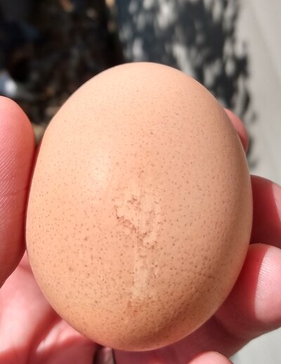 eggsmudge.jpg eggsmudge.jpg