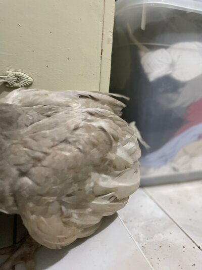 6F054854-D6FA-4C18-8846-BBECBC9F26D3.jpeg
