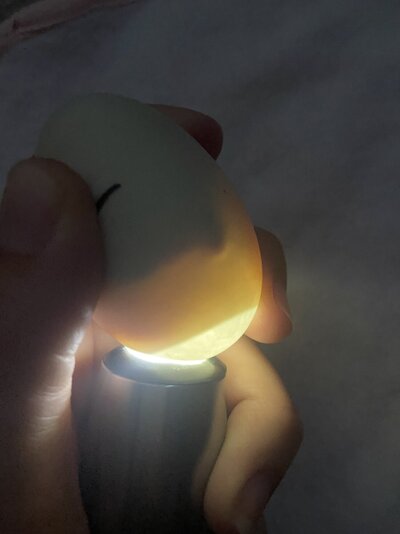 55681834-F3BD-45F8-A6FD-405A03EB31E0.jpeg