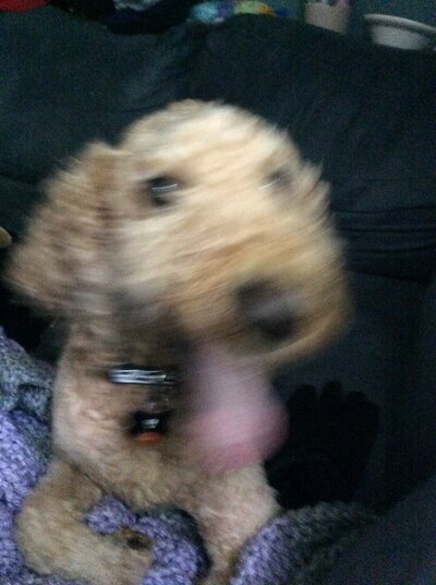 80ACC4C0-D95A-4F07-8567-539423D0F1BE.jpeg