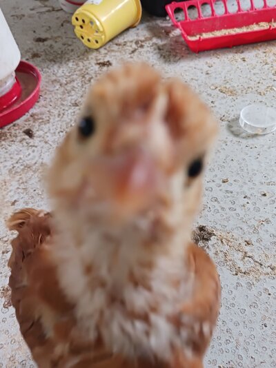 20220726_134919.jpg