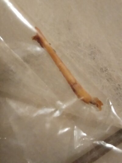 20220726_142124.jpg