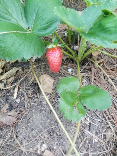 20220730_061019.jpg