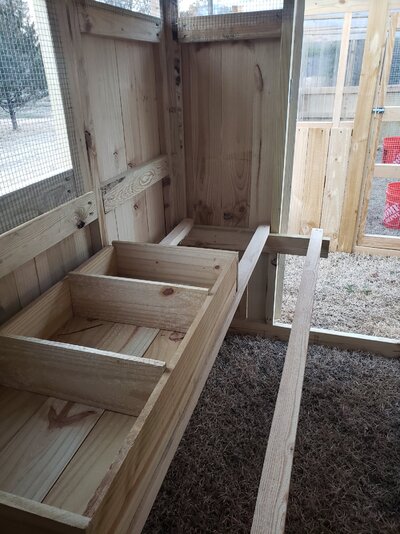 coop 3 and greenhouse door.jpg