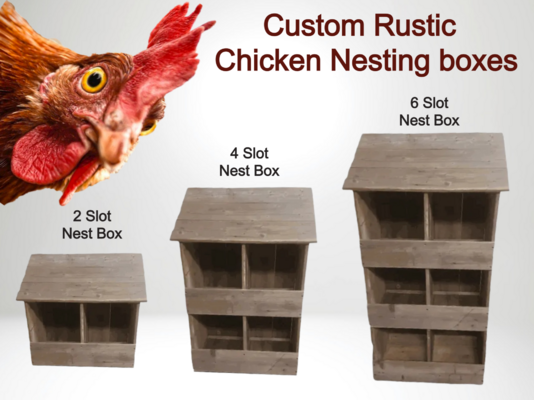 nest and chicken.png