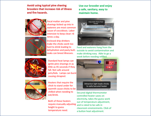 Why our brooder landscape 1.png