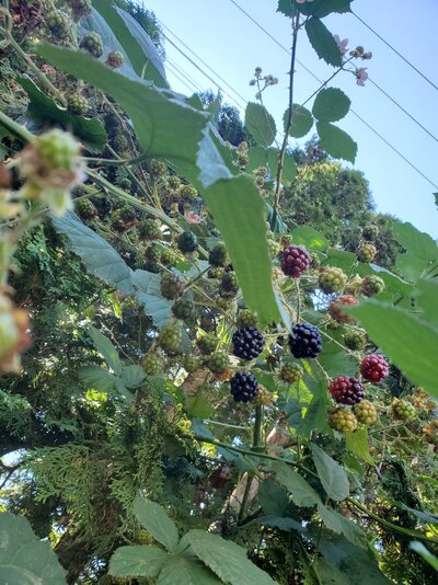 20220805_120337.jpg