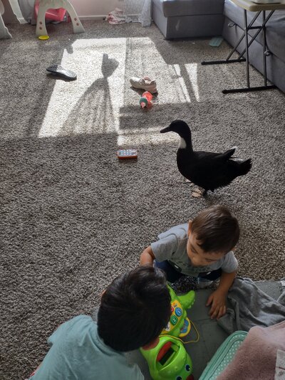 IMG_20220705_170621613_HDR.jpg