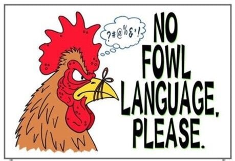 No Fowl Language Yard Sign.jpeg